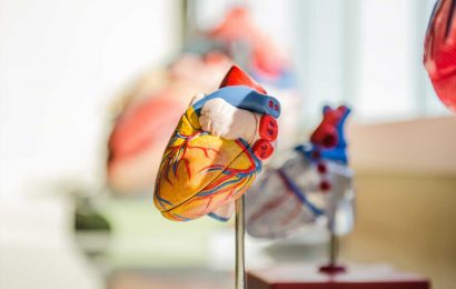 Combined 3D modelling technique predicts abnormal heart rhythms in patients with genetic heart disease