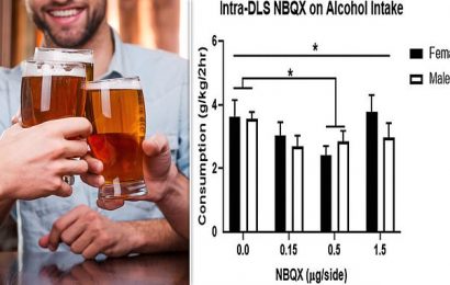 Chemical could stop craving for binge drinking, study finds
