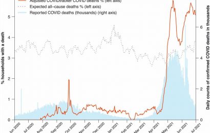 Data suggests pandemic fatalities much higher than estimated