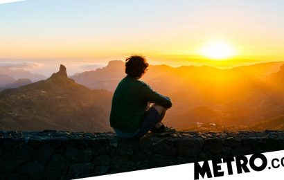 Here’s why you should rise and rest with the sun every day