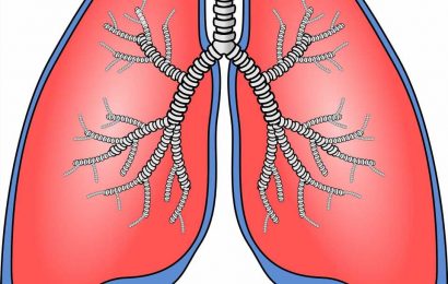 Lung microbiome can predict future changes in lung function after transplantation