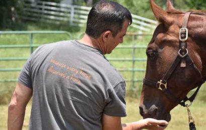 New Poll Confirms That Overwhelming Majority of Americans Oppose Horse Slaughter