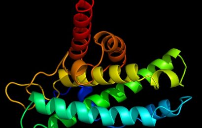 Sneaking large drug-carrying biological molecules into cells using a novel drug delivery system