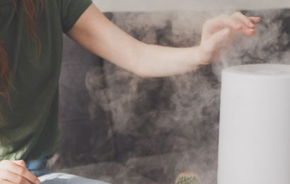 Do humidifiers help with dry skin?