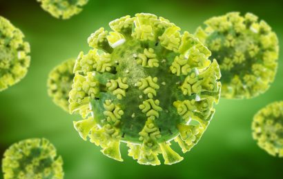 Mosaic-8 RBD-nanoparticles show promise as a vaccine candidate for SARS-CoV-2 and potential sarbecoviruses spillovers