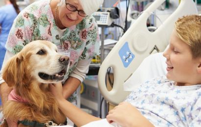 Pet therapy: How dogs, cats and horses help improve human well-being