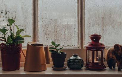 Which plants need humidity?
