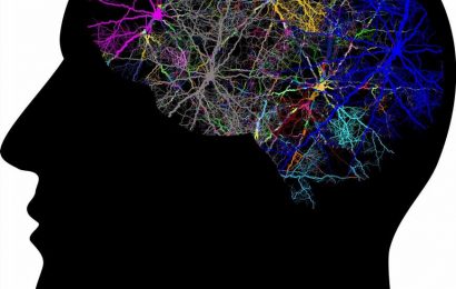 Widespread brain receptor hides surprising mechanism of action