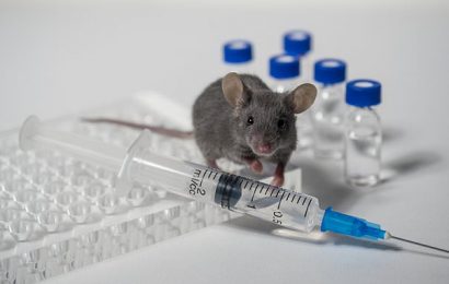 Faecal transplants reverse biological signs of ageing in mice