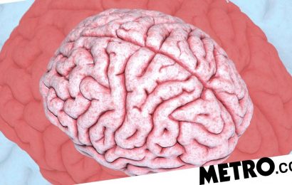 A neuroscientist breaks down how your brain plays tricks on you
