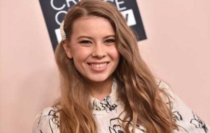 Bindi Irwin’s Daughter Grace Admires Pictures of the Crocodile Hunter in Sweet New Photo