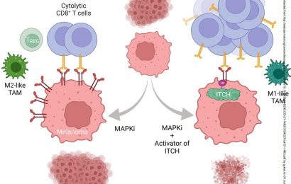 Degrading a key cancer cell-surface protein to invigorate immune attack on tumors