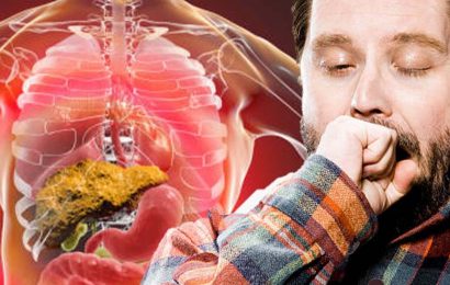 Fatty liver disease symptoms: The signs liver scarring is ‘blocking liver function’