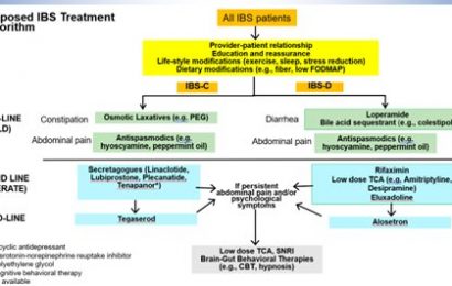 New clinical guidelines issued outlining drug treatment plans for patients with irritable bowel syndrome (IBS)