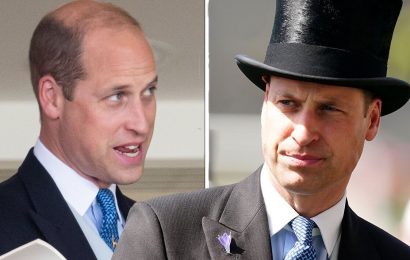 Prince William: ‘It’s just a blur of faces’ Royal on dwindling eyesight- 6 vision problems
