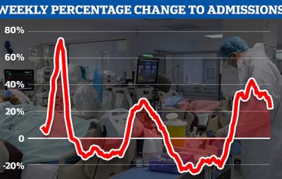 Is the fifth Covid wave already peaking? Admissions and cases slow