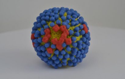 Universal influenza B vaccine induces broad, sustained protection, researchers find