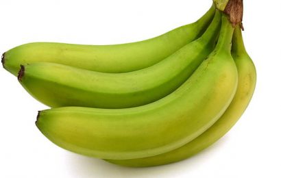 Why eating a starchy green banana a day could stave off CANCER