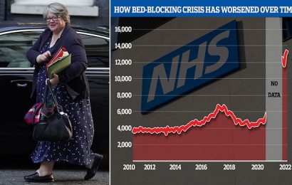 Bed-blockers to be discharged within 24hrs from NHS hospitals