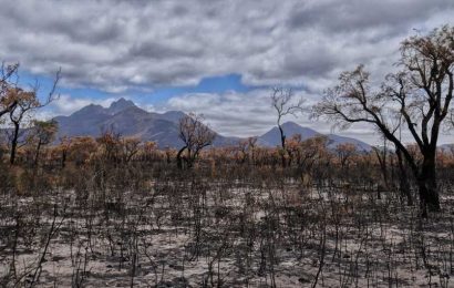 Fatigued Aussies face a ‘perfect storm’ of climate change-fueled disasters