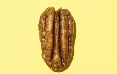 Forget brain-training – eating more nuts and seeds is the key to a healthy brain