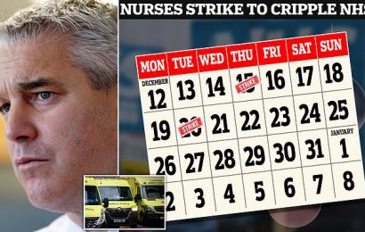 NHS strikes in &apos;nobody&apos;s best interests&apos;, Steve Barclay says