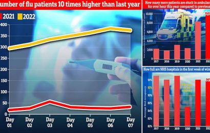 NHS&apos;s &apos;toughest ever winter&apos;: Flu 10x worse than last year