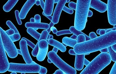 Newly designed antibiotic effective against multidrug-resistant bacteria