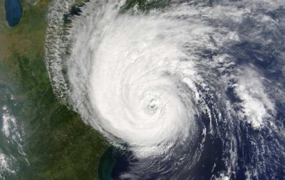 Research finds hurricane forecasts impair birth outcomes