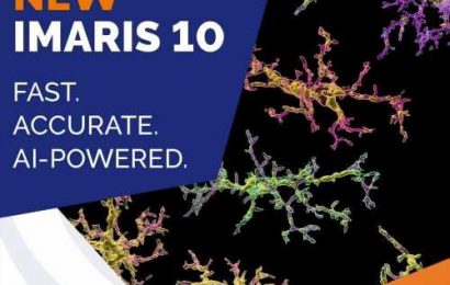 Imaris launches 10.0, an AI-powered software for fast and accurate detection of neurons, microglia and blood vessels