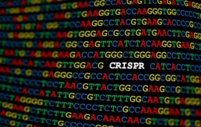 New type of CRISPR gene scissors discovered
