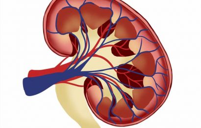 World first test to detect diabetics at risk of kidney disease