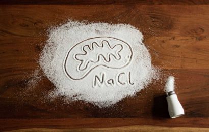 Study finds that salt cuts off the energy supply to immune regulators