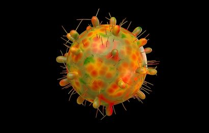 COVID Infection Before Vax May Weaken Some T Cells: Study