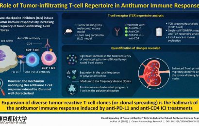 Immune checkpoint inhibitor antitumor response: Decoding molecular mechanisms