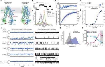 Integrated structural biology provides new clues for cystic fibrosis treatment