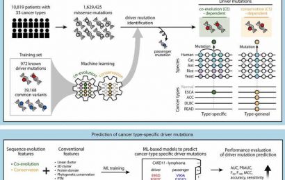 Machine learning to identify cancer type-specific driver mutations for the development of new drug targets