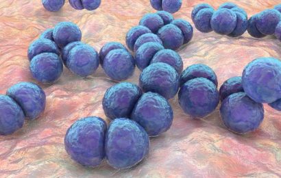 Pneumolysin toxin holds promise for developing therapies against Streptococcus pneumoniae