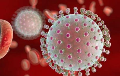 Researchers isolate an IgM exhibiting ultrapotent neutralization from a Zika virus-infected pregnant woman