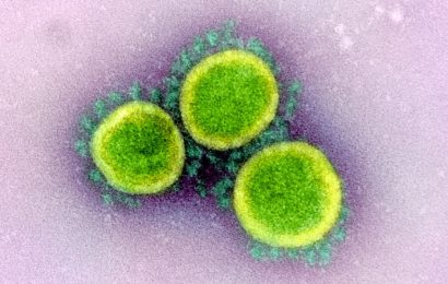 Three Years Ago, the COVID-19 Pandemic Officially Began