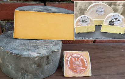 Listeria hysteria: The truth behind recalls of trendy cheeses