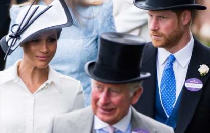 Meghan Markle Reportedly Wants Archie & Lilibet To Have This Kind of Relationship With King Charles III