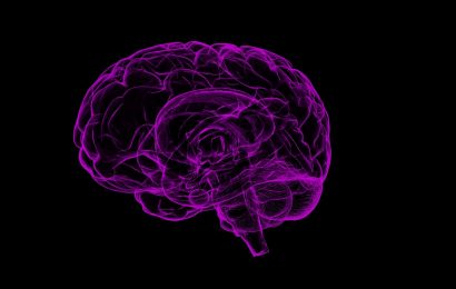 New study reveals novel insights on brain development sequence through adolescence