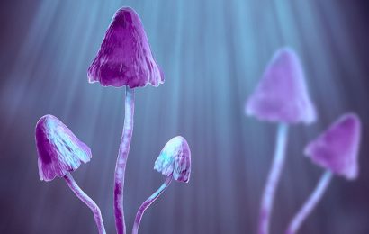 Psilocybin May Offer Profound Relief From Cancer Depression