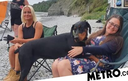 Terminally ill woman's pet dog saves life after finding kidney match at beach