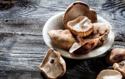 Mushrooms may hold anti-cancer properties, according to experts