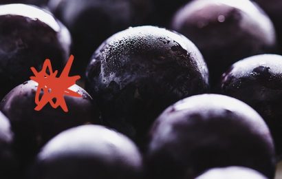 Can consuming grapes daily increase certain gut bacteria?