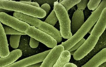 Internet of microbiota: Could synthetic probiotics help prevent our natural bacteria from going astray?