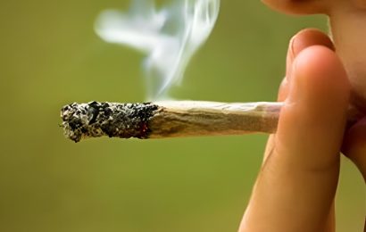 1 in 5 marijuana users struggle with dependency on the drug
