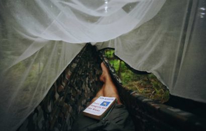 Research informs WHO mosquito net guideline update